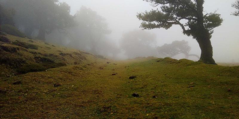 什么是BMI，有什么用？