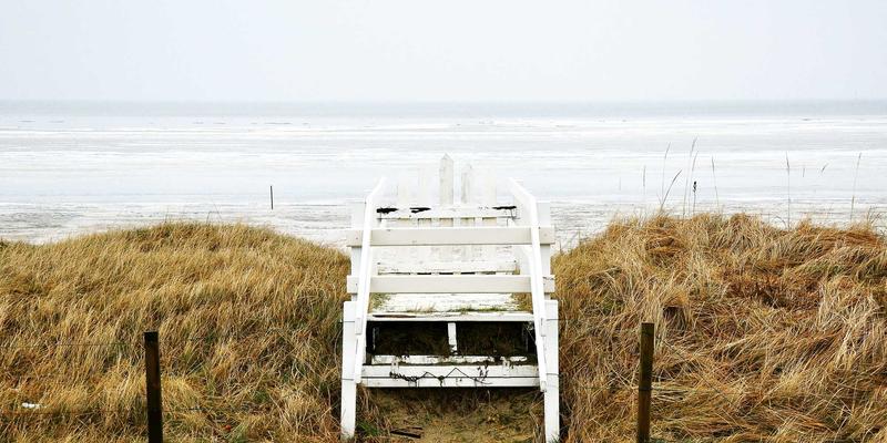 中国传统高FODMAP食物分级替代与调整方案​