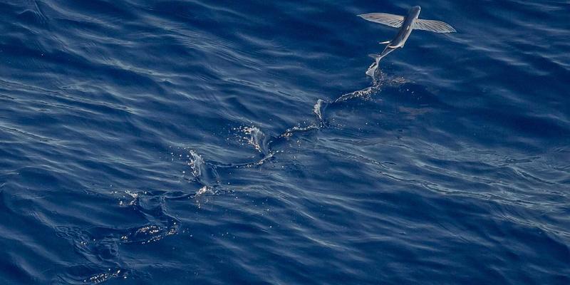 肠易激综合征的罗马诊断标准